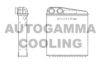 AUTOGAMMA 104820 Heat Exchanger, interior heating